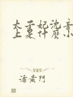 太子妃沈音和皇上是什么小说封面