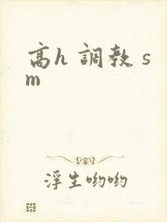 高h 调教 sm