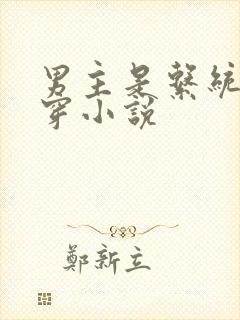 男主是系统的快穿小说