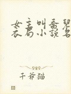 女主叫乔儿的浣衣局小说名字