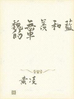 魏无羡和蓝忘机的车