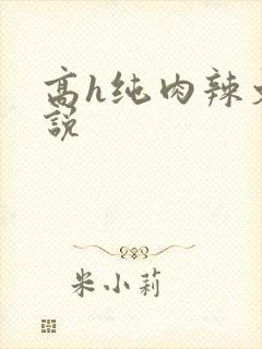 高h纯肉辣文小说