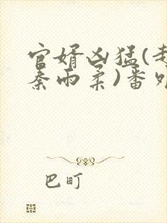 官婿凶猛(赵阳秦雨柔)番外+大结局小说