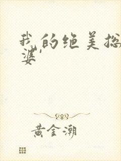 我的绝美总裁老婆'