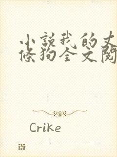 小说我的丈夫是条狗全文阅读