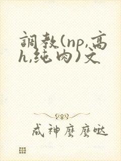 调教(np,高h,纯肉)文