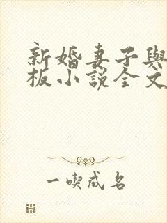 新婚妻子与菜老板小说全文阅读