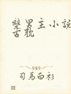 双男主小说推荐古耽封面