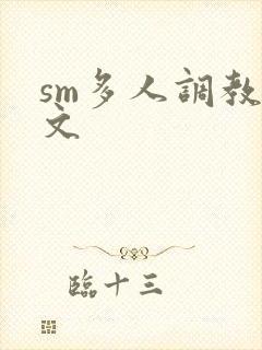 sm多人调教h文封面