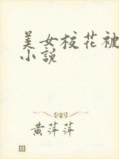 美女校花被调教小说