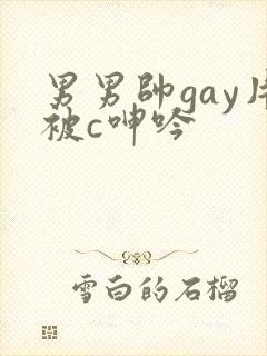 男男帅gay片被c呻吟