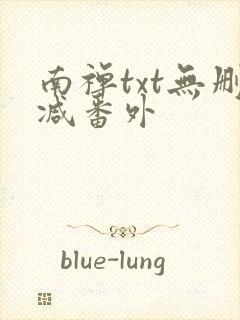南禅txt无删减番外