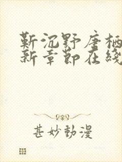 靳沉野唐栖雾最新章节在线阅读