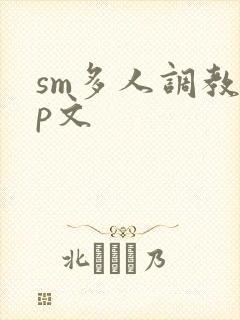 sm多人调教np文封面