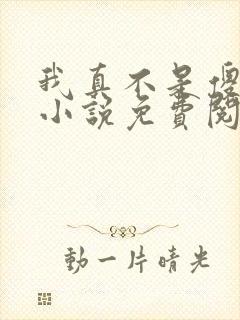 我真不是傻子了小说免费阅读全文