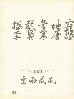 总裁爹地宠上天季枭寒唐悠悠封面