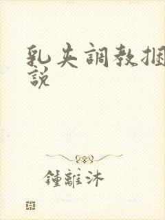 乳夹调教捆绑小说封面