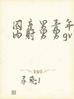 国产男青年无套内射男男gv