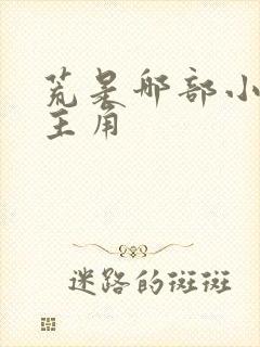 荒是哪部小说的主角