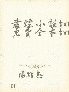 黄烟小说txt免费全本txt
