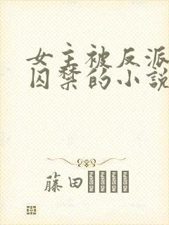 女主被反派强迫囚禁的小说