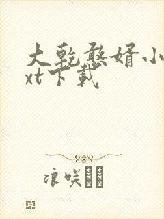 大乾憨婿小说txt下载