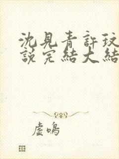 沈见青许玟玟小说完结大结局了吗