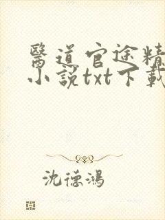 医道官途精校版小说txt下载