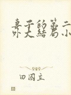 妻子的第二春番外大结局小说