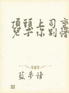 顶头上司变后妈儿子你别懵短剧全集播放