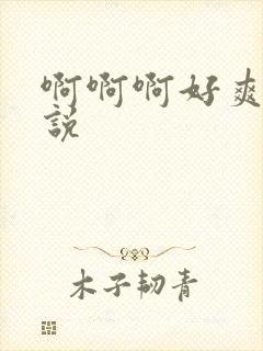 啊啊啊好爽h小说