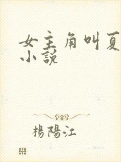 女主角叫夏晴的小说