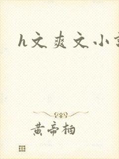 h文爽文小说