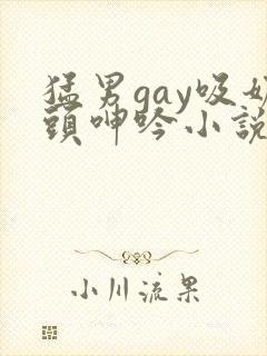 猛男gay吸奶头呻吟小说