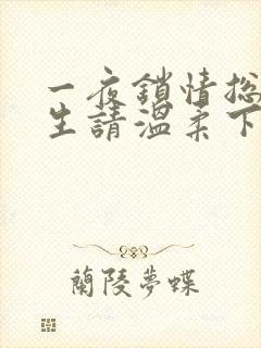 一夜锁情总裁先生请温柔下载txt封面