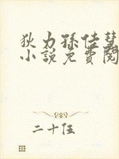 狄力孙佳慧官场小说免费阅读