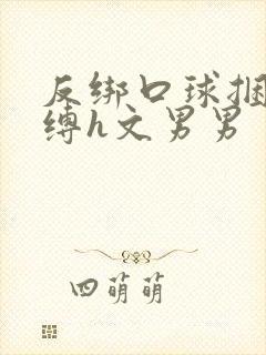 反绑口球捆绑紧缚h文男男