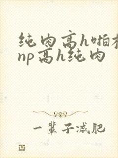 纯肉高h啪校园np高h纯肉