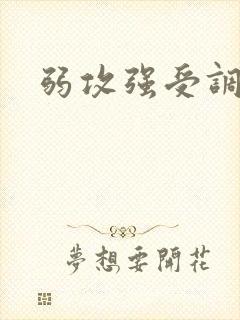 弱攻强受调教文