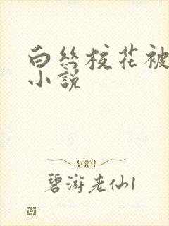 白丝校花被调教小说