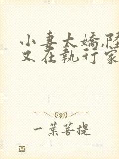 小妻太娇,陆爷又在执行家法