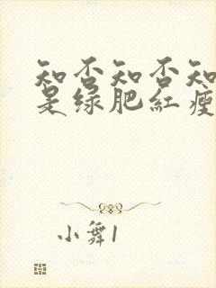 知否知否知否应是绿肥红瘦dvd版在线观看