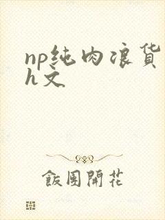 np纯肉浪货高h文