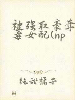 被强取豪夺的恶毒女配(np