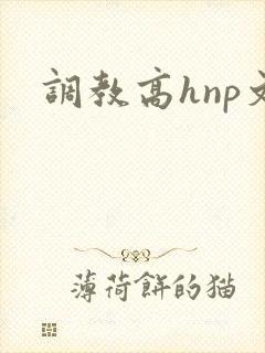 调教高hnp文