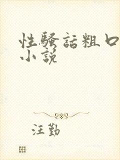 性骚话粗口淫语小说封面