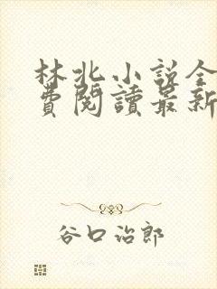 林北小说全文免费阅读最新章节封面
