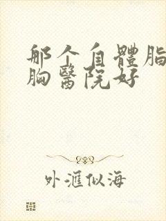 那个自体脂肪隆胸医院好