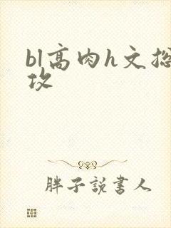 bl高肉h文总攻