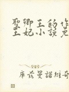 圣卿王的作妖小王妃小说免费阅读